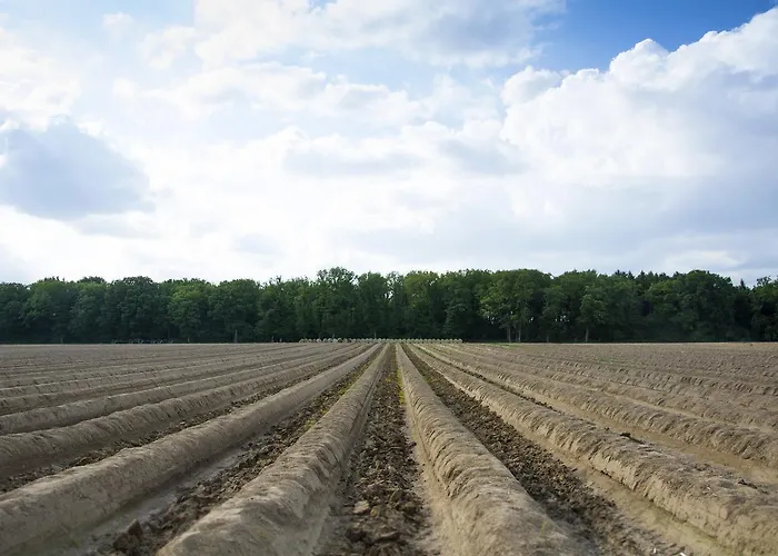 - Restaurant Lakerhof